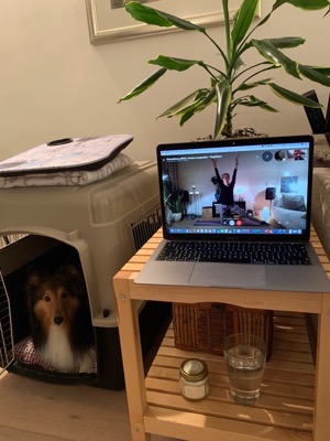Livestream Yoga Classes & Workshops from the Studio